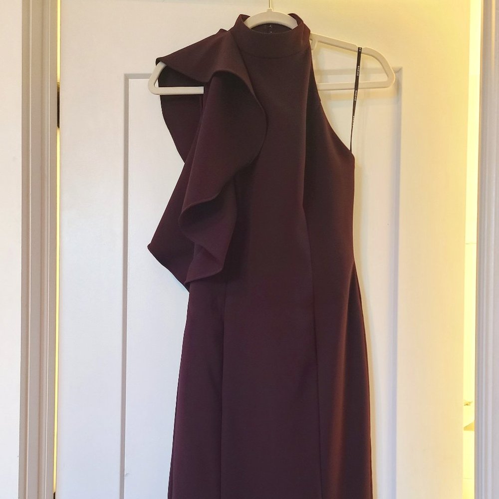 Stunning Sheike Deep Purple Dress Size 4